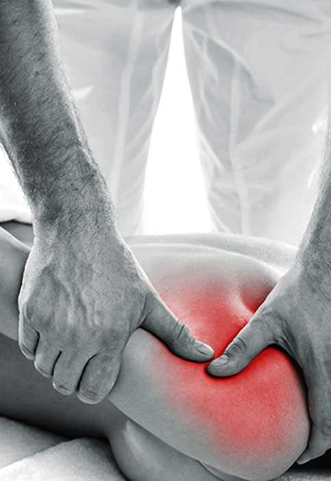 physio 2